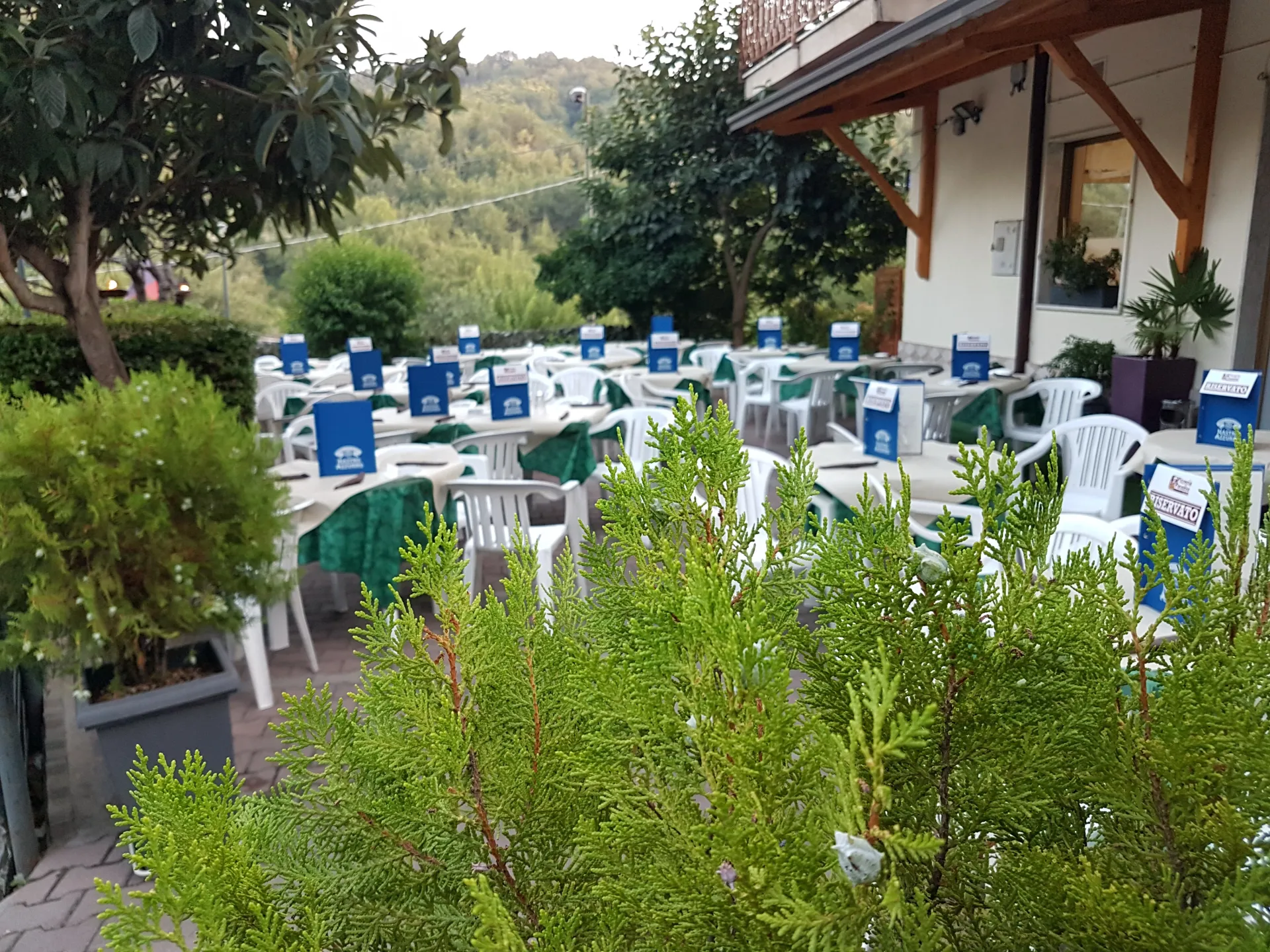 Pizzeria Paradiso